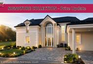 SKYLINE LAKE RESIDENCE RealGoodLiving Signature Collection