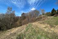 Zwei zusammenhängende Baugrundstücke mit beeindruckendem Weitblick in toller Hanglage