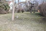 ES GIBT FÜR ALLES EINEN GRUND - wir haben gleich 3 davon…