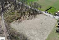 ** Sparbach: Weissenbacher Straße | rd. 1400 m² Baugrund | Einfamilien - oder Doppelhaus **