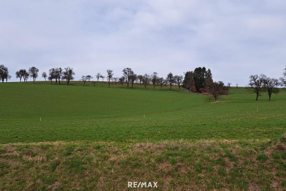 Die Gelegenheit! Günstiger Baugrund in St. Johann in Engstetten/St. Peter/Au., Grund und Boden-kauf, 77.400,€, 3352 Amstetten