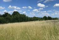 Baugrund mit entsprechenden Auflagen - WALDBADEN in Bad Blumau!
