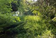 Traumhaus in 1190 Wien - 180m², 6 Zimmer, großer Garten, Balkone, Terrasse, Stellplatz uvm.