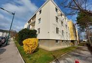 Attraktive 4-Zimmer-Wohnung, Kamin, Infrarotkabine, renovierter Keller, Garage
