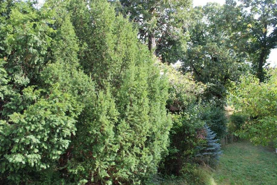 Exklusives Eigentumsobjekt in 1A Grünruhelage (Mauer im Grenzbereich zum 13. Bez. Hietzing), Wohnung-kauf, 599.000,€, 1230 Wien 23., Liesing