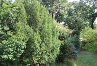 Exklusives Eigentumsobjekt in 1A Grünruhelage (Mauer im Grenzbereich zum 13. Bez. Hietzing)