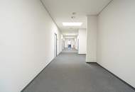 Raum für Unternehmen – Moderne Gewerbefläche in Hof bei Salzburg