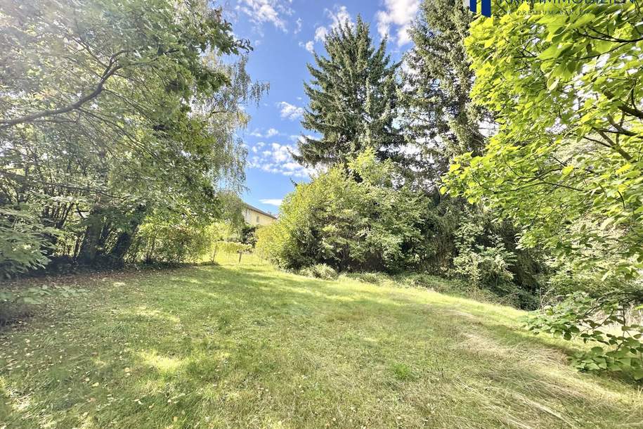 Exklusives Grundstück im Wienerwald – seltene Gelegenheit nahe Wien, Grund und Boden-kauf, 300.000,€, 3013 Sankt Pölten(Land)