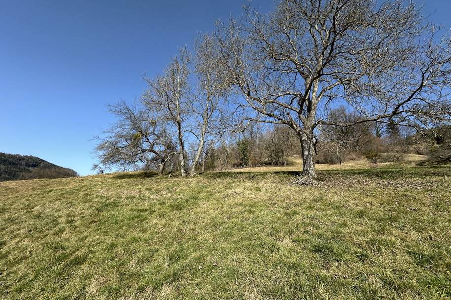 7 Parzellen verfügbar - Tolles Baugrundstück am Sonnenhang in Prenning bei Deutschfeistritz – 3.700 m², aufteilbar in 7 Parzellen, Grund und Boden-kauf, 68.000,€, 8121 Graz-Umgebung