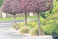 Exklusives Einfamilienhaus nahe der Gemeinde Sankt Bartholomä – Wohnen auf höchstem Niveau mit Erdwärme