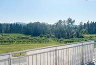 TRAUMHAFTES DOPPELHAUS mitten in den IDYLLISCHEN Weinbergen - mit DOPPELGARAGE, GARTEN, TERRASSE & DACHTERRASSE!