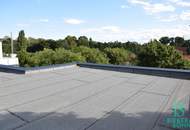 Großzügiges, sonniges Einfamilienhaus mit 80m² Dachterrasse