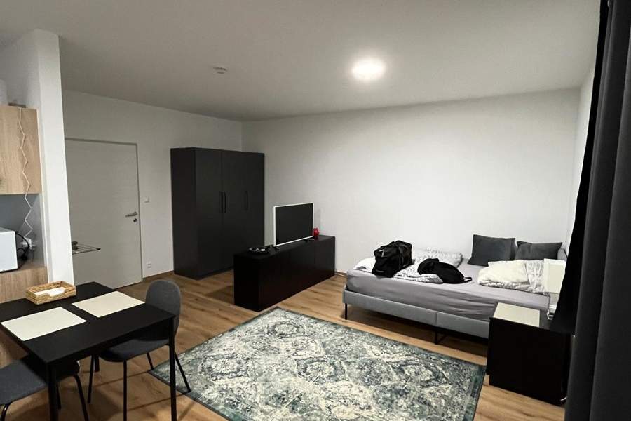 Renovierte großzügige und möblierte Garconniere in Spittal mit neuer Einbauküche, Wohnung-miete, 730,00,€, 9800 Spittal an der Drau