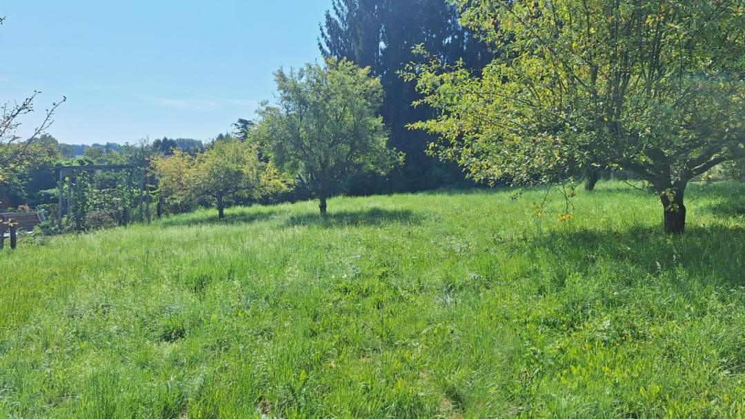 „Ihr Logenplatz in Wildon – Baugrundstück mit Aussicht, Sonne &amp; Privatsphäre“