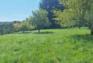 „Ihr Logenplatz in Wildon – Baugrundstück mit Aussicht, Sonne &amp; Privatsphäre“