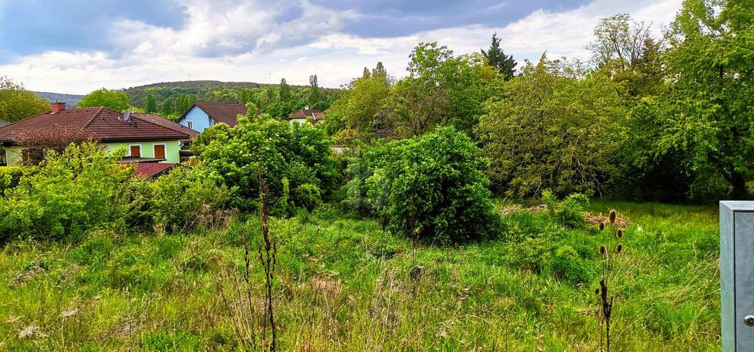 Preisreduktion! WEITBLICK INS GRÜNE - VON VILLA BIS ZWEI DOPPELHÄUSER MÖGLICH