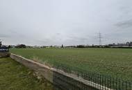 Modernes Zweifamilienhaus in Wels/ Unterhart