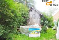 Urige Fe-Wo Bauernhube zum fertig-sanieren in Glödnitz