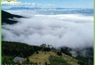 IHR PROJEKT AUF 4,7 HA ALMFLÄCHE | PANORAMABLICK GARANTIERT | IDEAL FÜR TOURISTISCHE NUTZUNG