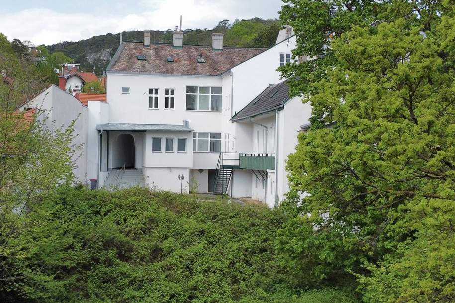 Hol´ mich aus dem Dornröschenschlaf! Zinshaus im Zentrum von Baden, Haus-kauf, 1.290.000,€, 2500 Baden