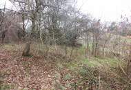 Verbuschtes Baugrundstück in Hanglage ohne Bauzwang !