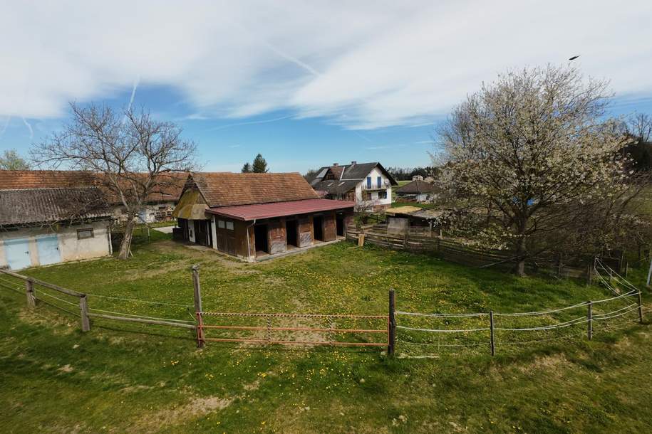 Reitstall in Rabenhof – 6 Boxen, Reitviereck, Clubhaus, Weiden & mehr in der Südsteiermark, Gewerbeobjekt-miete, 1.200,00,€, 8423 Leibnitz