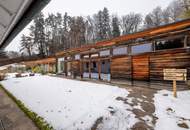 Einzigartiges Familien- und Naturjuwel mit Pool, Ragnitz/Kainbach