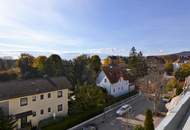 Bezaubernde 2 Zimmer DG Wohnung in historischer Badener Villa