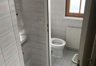 3-Zimmer-Wohnung im Zentrum von Baden - Blick auf die Schwechat!