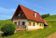 Umgebautes Kellerstöckl mit 3 Wohneinheiten, Terrasse, Balkon, Keller und Weingarten in Aussichtslage