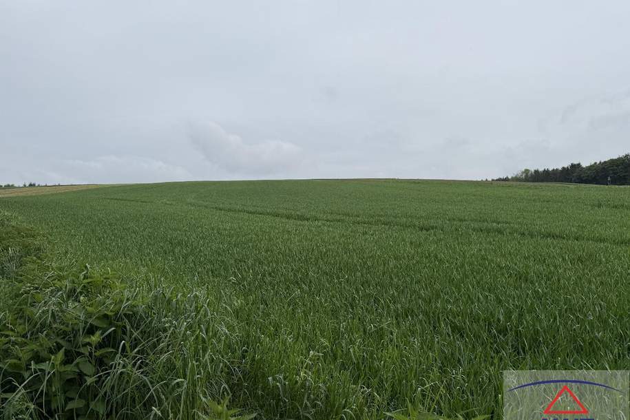 Acker mit guter Bonität!, Grund und Boden-kauf, 3062 Sankt Pölten(Land)