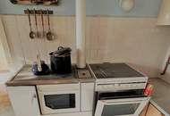 Großes Grundstück mit Einfamilienhaus und Lagerhalle