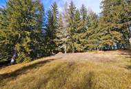 "Rarität im Zirbenland" Grundstück in St. Anna am Lavantegg