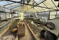 Einfamilienhaus mit großzügigem Grundstück