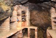 Extravagantes Wohnen in herrlicher Lage am linken Donauufer in Urfahr