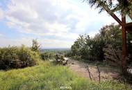 Eigengrund: Grünland mit Gartenhaus - Großes Grundstück in Mauer am Kadoltsberg - direkt am Lainzer Tiergarten