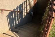 Urbanes Wohnen mit großem Garten mit kleinem Einfamilienhaus in Essling