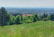 Herrliches Grundstück mit erhaltenswertem Gebäude am Badener Berg/ Mitterberg, perfekt für Individualisten