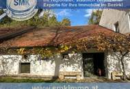 Romantische Kellerjuwele mit sonniger Terrasse und Naturgarten!