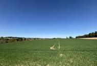 Attraktive Landwirtschaftsfläche in Eggendorf im Traunkreis