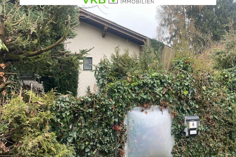 Naturnah & ruhig: Grundstück mit Altbestand in Spattendorf - Gemeinde Alberndorf in der Riedmark, Grund und Boden-kauf, 208.000,€, 4211 Urfahr-Umgebung