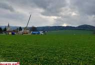 Baugrund mit Einreichplanung für Bungalow in Krumbach!