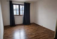 Sanierungsbedürftiges Haus in Viehofen