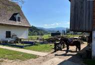NEUER PREIS! GROSSARTIGE PFERDERANCH IN DER GRÜNEN STEIERMARK! Ihr Paradies auf dem Land: Charmanter Reiterhof in traumhafter Lage!