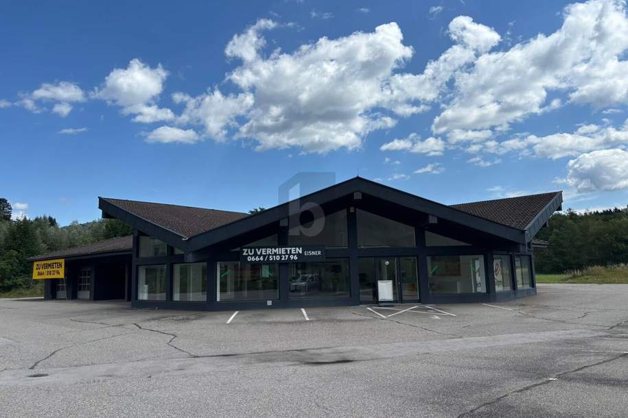 TOP LAGE VIEL POTENTIAL, Gewerbeobjekt-kauf, 1.250.000,€, 9300 Sankt Veit an der Glan