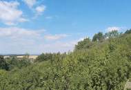 Renovierte 1900er-Jahre Villa in Alleinlage – Ruhe und Natur pur am Berg