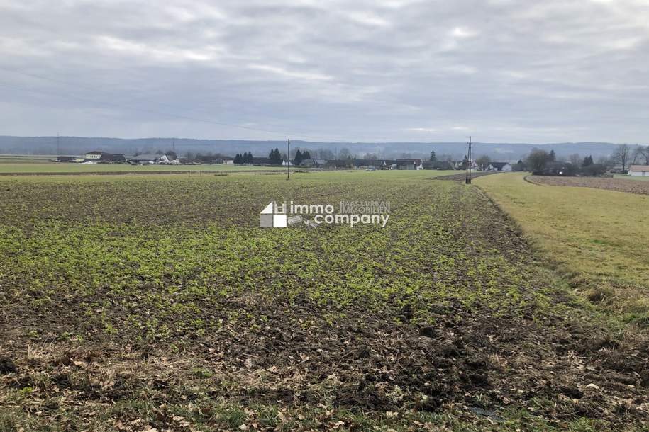 Schöner Baugrund unweit von Jennersdorf, Grund und Boden-kauf, 47.500,€, 8380 Jennersdorf