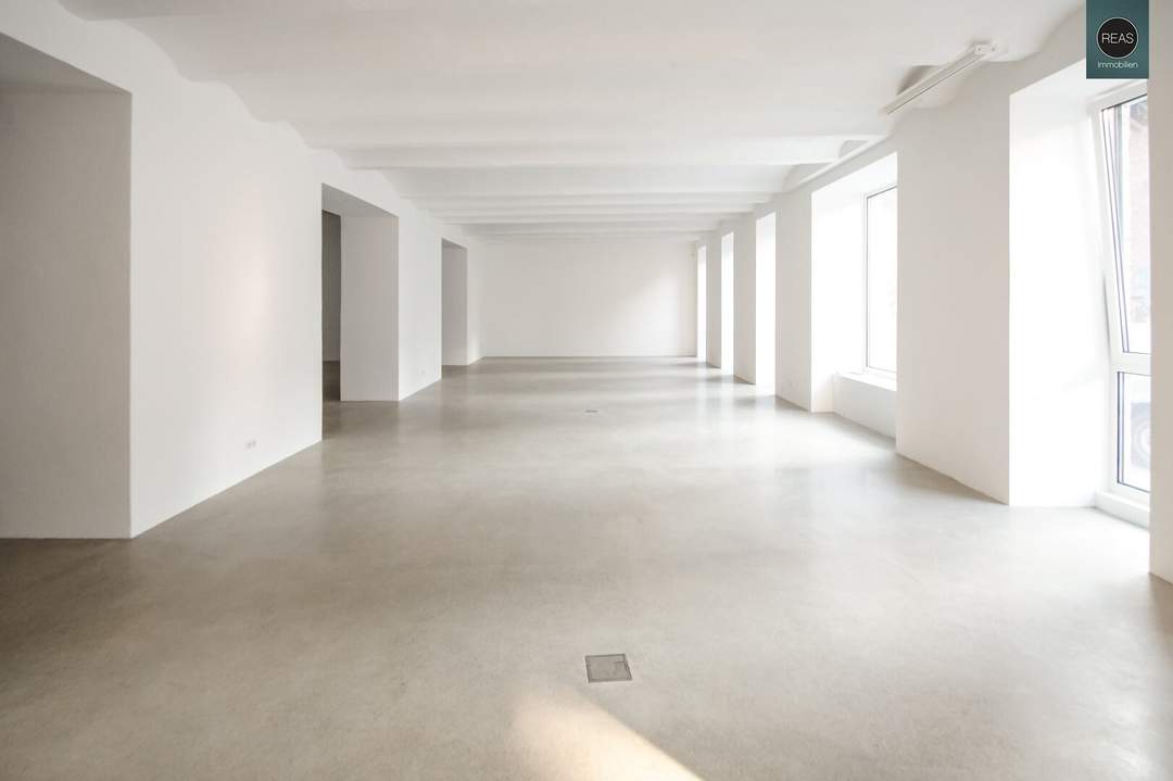Loft in bester Hoflage der Brotfabrik Wien!