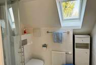 Zu schön um wahr zu sein um diesen Preis! Schauen Sie sich das an!