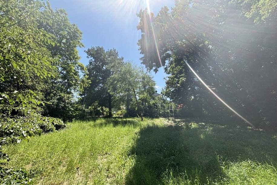 Platz für ein Einfamilien- oder Doppelhaus - Eigengrund am Ödberg in sonniger, grüner Umgebung, Grund und Boden-kauf, 495.000,€, 3400 Tulln